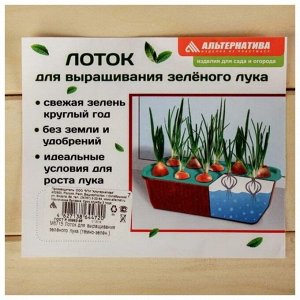 Контейнер для выращивания зеленого лука 305х160х85 мм, М6715, 10, Альтернатива