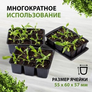 Кассета рассадная 5 шт, 180х135х60 мм, 6 ячеек, Скорая помощь