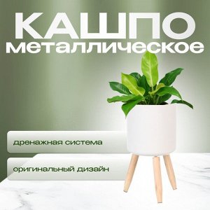 Кашпо металл, 3.5 л, 17х33 см, декоративное, Y6-10469