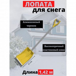 Лопата для снега полипропилен, с алюминиевой планкой, 370х280 мм, 1425, черенок дюралюминиевый, тулейка 32 мм, в сборе, Цикл, Эксперт Скальд, 7596-00