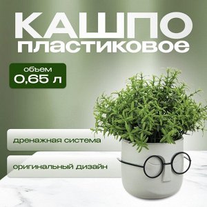 Кашпо пластик, 0.65 л, 11.5х10.5 см, со вставкой, белый ротанг, Idea, Стив, М 3079