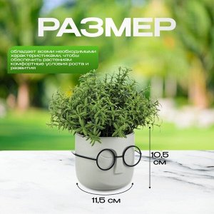 Кашпо пластик, 0.65 л, 11.5х10.5 см, со вставкой, белый ротанг, Idea, Стив, М 3079