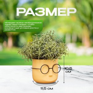 Кашпо пластик, 0.65 л, 11.5х10.5 см, со вставкой, банановое, Idea, Стив, М 3079