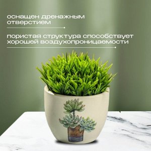 Кашпо керамика, 0.2 л, 6.5х8х6.5 см, в ассортименте, Кактусы, Y3-1295/318493