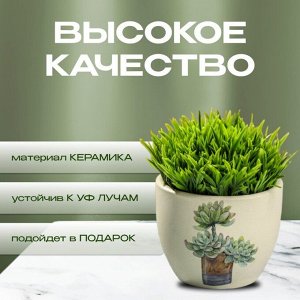 Кашпо керамика, 0.2 л, 6.5х8х6.5 см, в ассортименте, Кактусы, Y3-1295/318493
