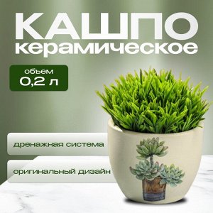 Кашпо керамика, 0.2 л, 6.5х8х6.5 см, в ассортименте, Кактусы, Y3-1295/318493