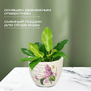 Кашпо керамика, 0.2 л, 8х6.5х6.5 см, в ассортименте, Цветы малый, Y3-1294/318492