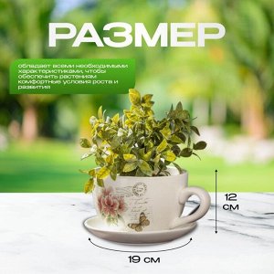 Горшок керамика, 2 л, 19х12 см, Розовые цветы чайная чашка большая, Y3-1292/318490