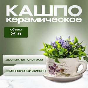 Горшок керамика, 2 л, 19х12 см, Лаванда чайная чашка большая, Y3-1290/318488