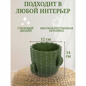 Кашпо керамика, 1 л, 14х12х14 см, Кактус, Y4-3081