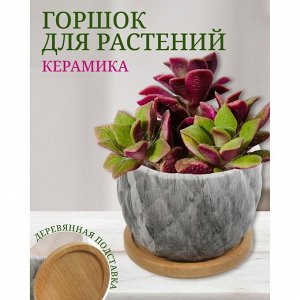 Горшок керамика, 0.2 л, 8.5х8.5х7 см, для кактусов и суккулентов, Мини, Y4-5358