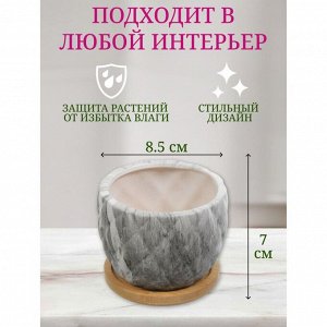 Горшок керамика, 0.2 л, 8.5х8.5х7 см, для кактусов и суккулентов, Мини, Y4-5358