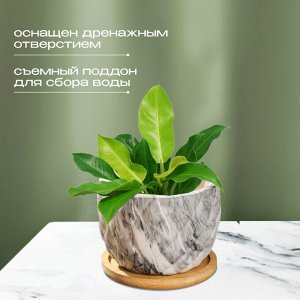 Горшок керамика, 0.2 л, 8.5х8.5х7 см, для кактусов и суккулентов, Мини, Y4-5358