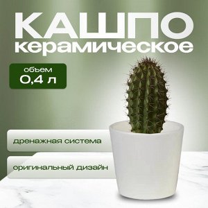 Кашпо керамика, 0.4 л, 10х9 см, конус, Белый, 633635