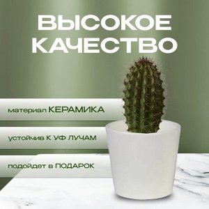 Кашпо керамика, 0.4 л, 10х9 см, конус, Белый, 633635