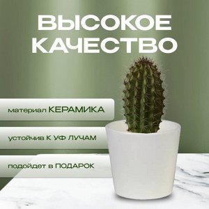 Кашпо керамика, 0.2 л, 8х7 см, конус, Белый, 633604