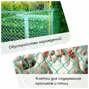 Сетка для птичников, пластмасса, 13 х 15 мм, 100х1000 см, зеленая, Протэкт, Ф-13/1/10