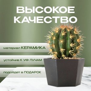 Кашпо керамика, 0.7 л, 12х8.5 см, шестигранник, черное, Эджес №2, 049720