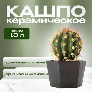 Кашпо керамика, 1.3 л, 15х11 см, шестигранник, черное, Эджес №3, 049737