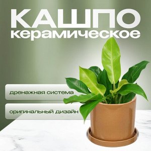 Горшок керамика, 16х15.5 см, для цветов, латте, Лидер №2, 4089