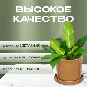 Горшок керамика, 16х15.5 см, для цветов, латте, Лидер №2, 4089