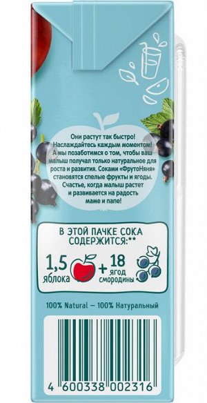 ФРУТОНЯНЯ 0,2л Сок яблоко-чёрная смородина осветленный