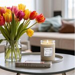 BAGO home ароматические свечи