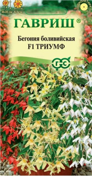 Цветы Бегония Триумф боливийская смесь ЦВ/П (ГАВРИШ) 4шт однолетник 30-35см