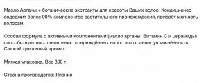 Восстанавливающий кондиционер "Wins Damage Care Conditioner" с маслом Арганы 300 г, мягкая упаковка, Япония