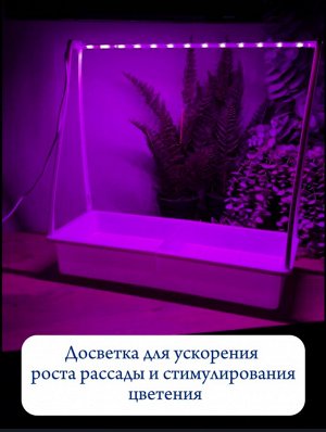 Набор «Минисад», светодиодная лампа для растений с подставкой, цвет белый, фиолетовый свет для для рассады и цветения ULT-P54N-10W/SPSB IP65 WHITE
