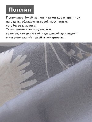 Комплект постельного белья «Этель» 1.5 сп Dandelion wine 143x215 см, 150x214 см, 50x70 см-2 шт., поплин 125 г/м², хлопок