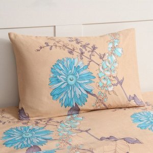 Комплект постельного белья Newday евро Soft time , 200*215см, 200*215см, 50*70см-2 шт, полисатин, 80 г/м*