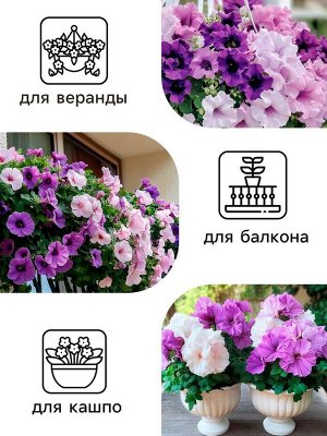 Семена цветов Петуния Махровая Каскадная Блю&Орхид F1, смесь, О, 8 шт