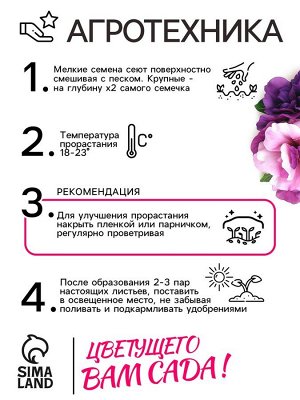 Семена цветов Петуния Махровая Каскадная Блю&Орхид F1, смесь, О, 8 шт