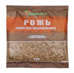 Зерно Рожь для проращивания  &quot;Здоровка&quot; 300,0 (7) РОССИЯ