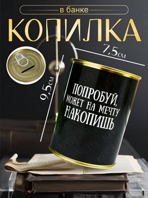 Копилка для денег «Банка. Попробуй, может на мечту накопишь», металл