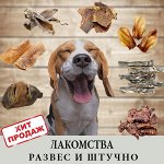 Огромный выбор лакомств для собак и кошек. Хит продаж🔥