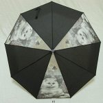 Зонт женский Pasio