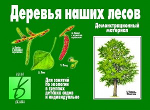 В-Д."Деревья наших лесов" Д-284 /28