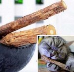 Палочки для чистки зубов с кошачьей мятой