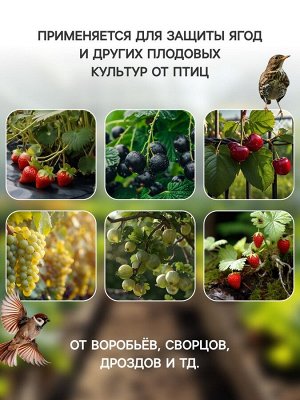Сетка садовая, 2x10 м, ячейка ромб 6x6 мм, от птиц, пластиковая, зелёная, Greengo