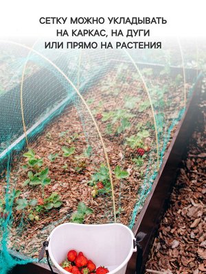 Сетка садовая, 2x10 м, ячейка ромб 6x6 мм, от птиц, пластиковая, зелёная, Greengo