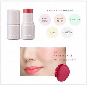 FASIO Multiface Stick - многофункциональный стик