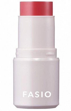 FASIO Multiface Stick - многофункциональный стик