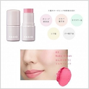 FASIO Multiface Stick - многофункциональный стик