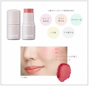 FASIO Multiface Stick - многофункциональный стик