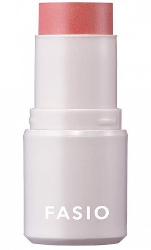 FASIO Multiface Stick - многофункциональный стик
