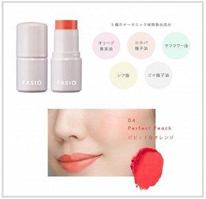FASIO Multiface Stick - многофункциональный стик