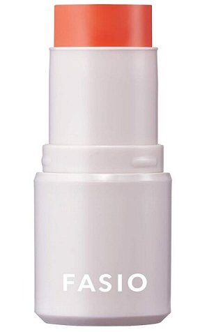 FASIO Multiface Stick - многофункциональный стик