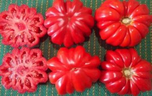 Томат Лотаринская красавица